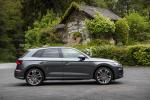 Audi SQ5 3.0 TDI 2019 года (WW)
